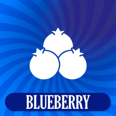 The Original Slushie Company® Blueberry Flavor Shot  for Lemonade Base 2.5 Gallon BIB